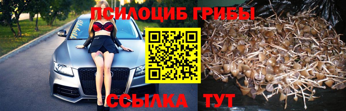 Галлюциногенные грибы GOLDEN TEACHER Нефтеюганск